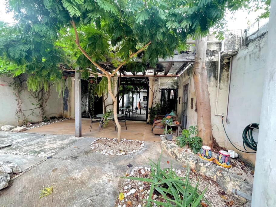 House Dzalbay Santa Lucia With Hot Tub Mérida Exterior photo